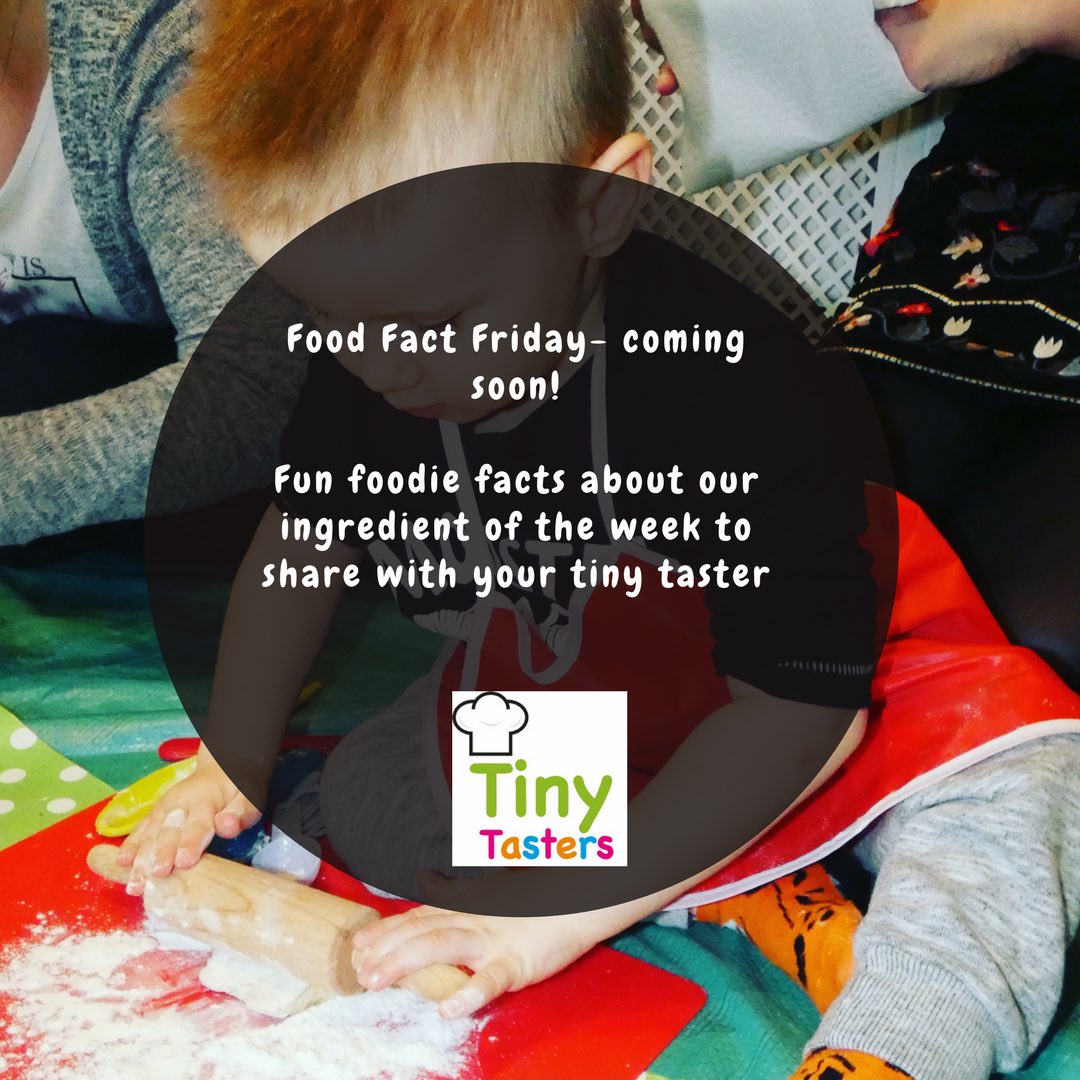 Tiny Tasters (@tinytasters) on Twitter photo 