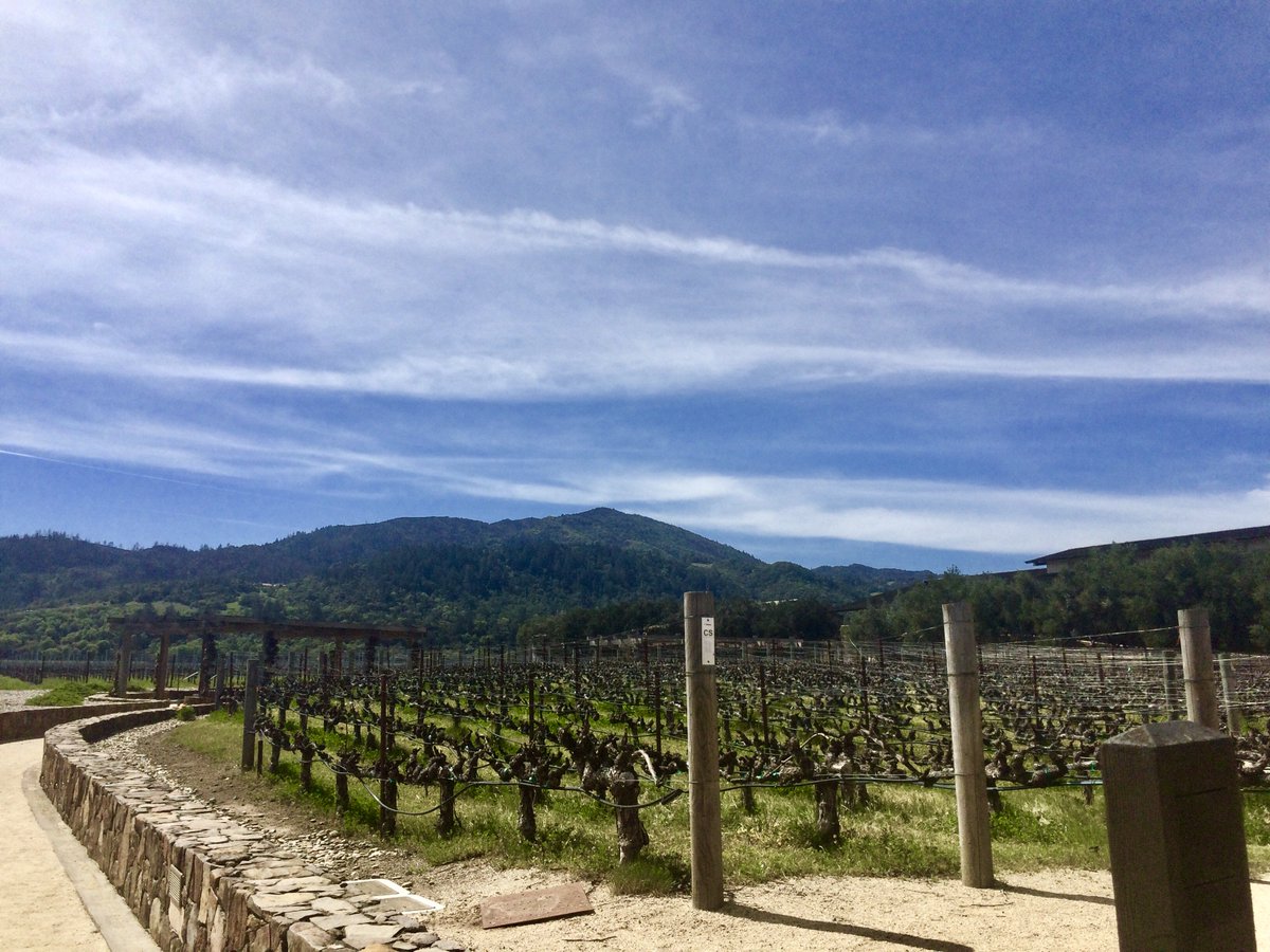 We're finishing up our road trip in the Napa Valley at the stunning Robert Mondavi winery, one of the region's best. If you're a wine lover, it's hard to beat a trip to California! Why not create your own itinerary here bit.ly/2IeRAzf