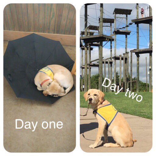 angela_burris's tweet image. Day one brought rising waters &amp;amp; lots of scary thunder but on day two the lord blessed us with sunshine &amp;amp; miles of smiles. #CampForAll #BurtonTX