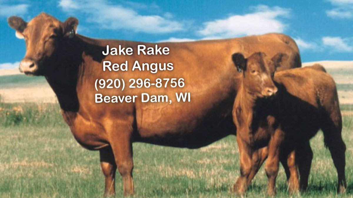 CrawdadsBB's tweet photo. We are proud to announce our sixth sponsorship partnership with Jake Rake and Red Angus for the 2018 season! Thank you for your support of #CrawdadsBaseball https://t.co/FQlIXgVbTR