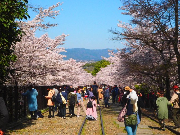 蹴上インクライン→ 