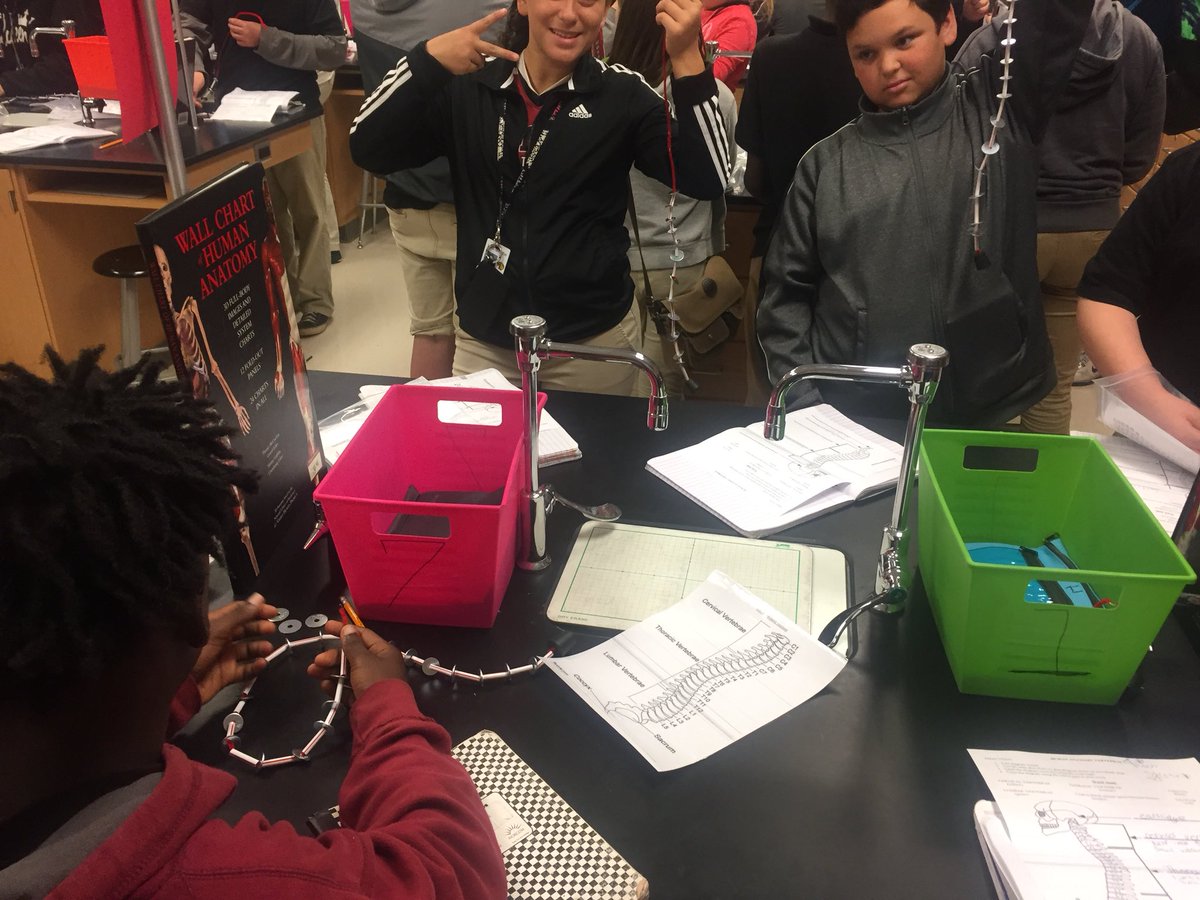 MelissaWhigham's tweet photo. Students building a model of the spine #ScienceLabTime #7thGrade @MCPSS_SuperSci #WildcatNation https://t.co/kea06k98IH