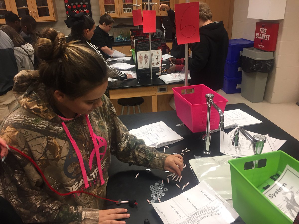 MelissaWhigham's tweet photo. Students building a model of the spine #ScienceLabTime #7thGrade @MCPSS_SuperSci #WildcatNation https://t.co/kea06k98IH