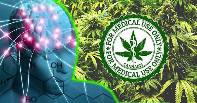 GetBeyondBuzz's tweet photo. The World Health Organization Just Declared Medicinal Marijuana Safe To Use. Says It Isn’t A Health Risk https://t.co/f6m0NoEVaF Time to #getbeyondthebuzz #freetheplantnow #ithrivenaturally #livinhempy https://t.co/MjTloxODcy