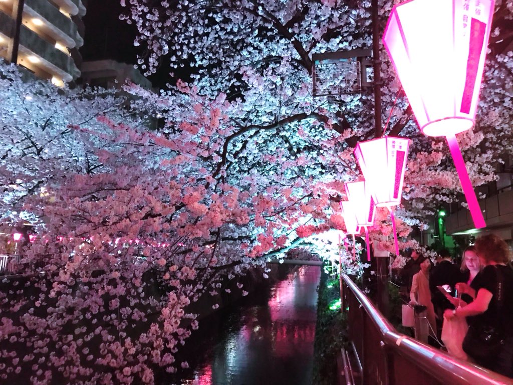 高瀬らん♡ オートサロン2025 tweet media