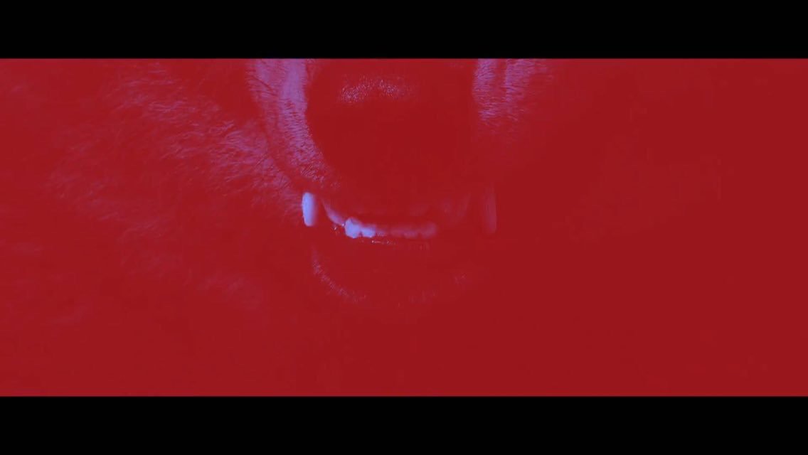 hyunjinsus's tweet image. the parallels of her being shown as a wolf are so beautiful