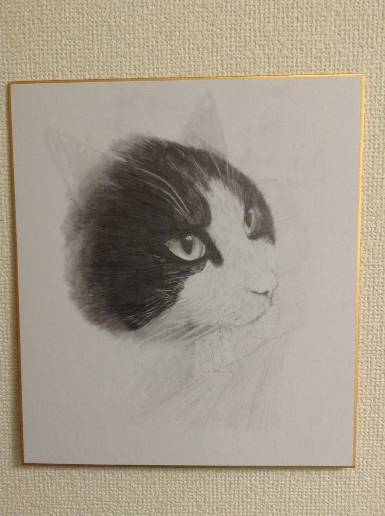 さざんか Twitter वर 猫の癒しがほしい 猫 猫 題名 猫 シャープペンシルで描いてみました 耳は流行りのsnow的な遊び心を入れてみました 絵 猫 猫好き Snow 絵描きさんと繋がりたい フォローしてくれた人フォロバする さざんかの作品 イラスト