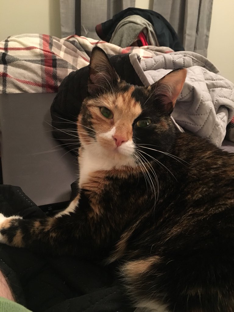 JonnLink's tweet image. 