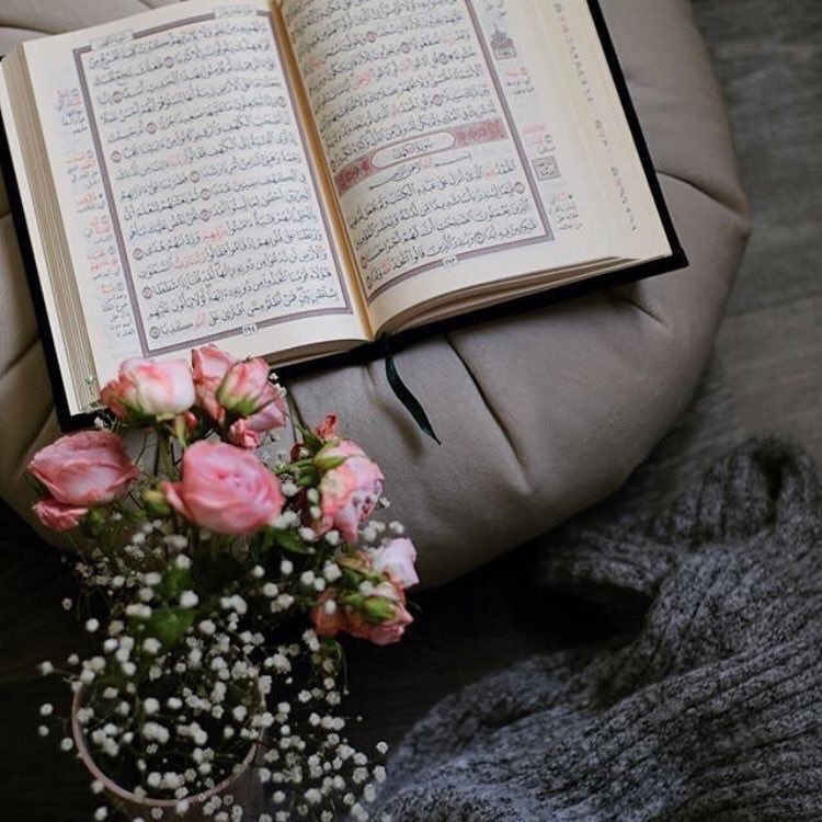 ▪️عن أبي سعيد قال ﷺ :

" من قرأ سورةَ_الكهفِ في يوم_الجمعة
أضـاء له مـن النـورِ ما بين الجمُعَتَين ".

✔️ ( صححه_الألباني الترغيب ).