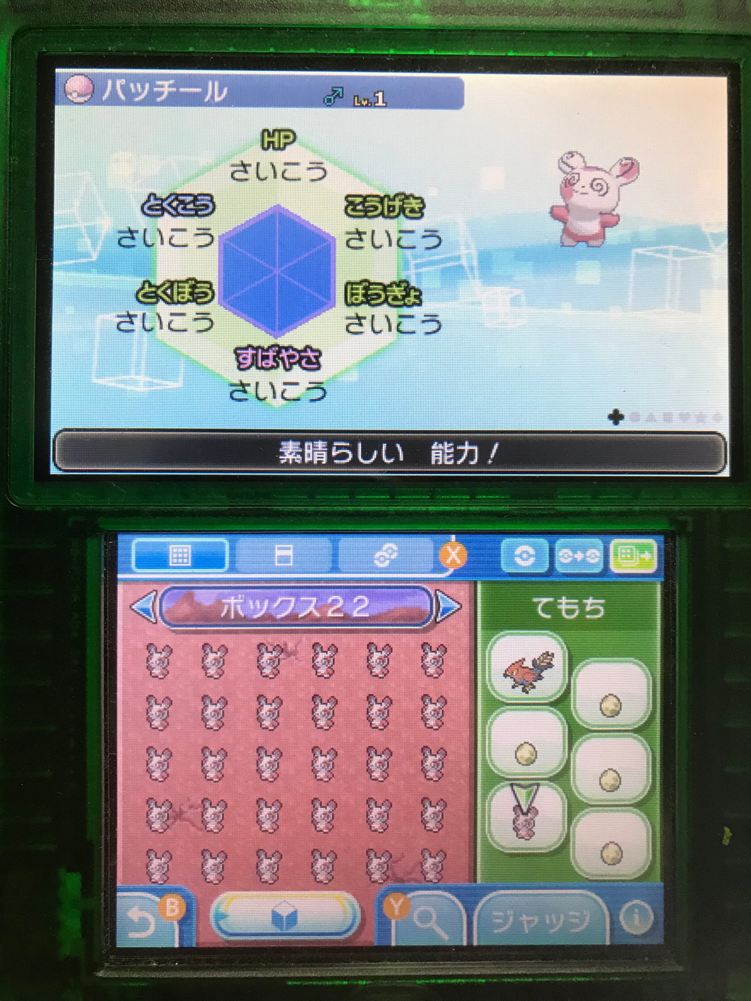 ポケモン6v記録 Twitter