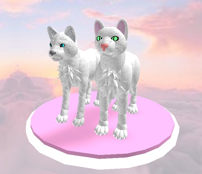 Shyfoox On Twitter New Cat Model Took Me Around An Hour New Record In The Third Picture You See The New Model Compared To The Old One I Am Really Happy About - cat life roblox