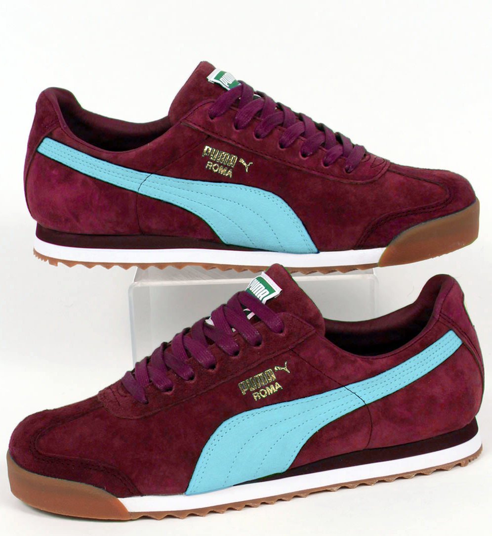 claret & blue trainers