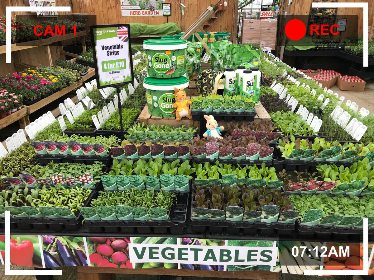 TenterdenGardenCentr tweet media