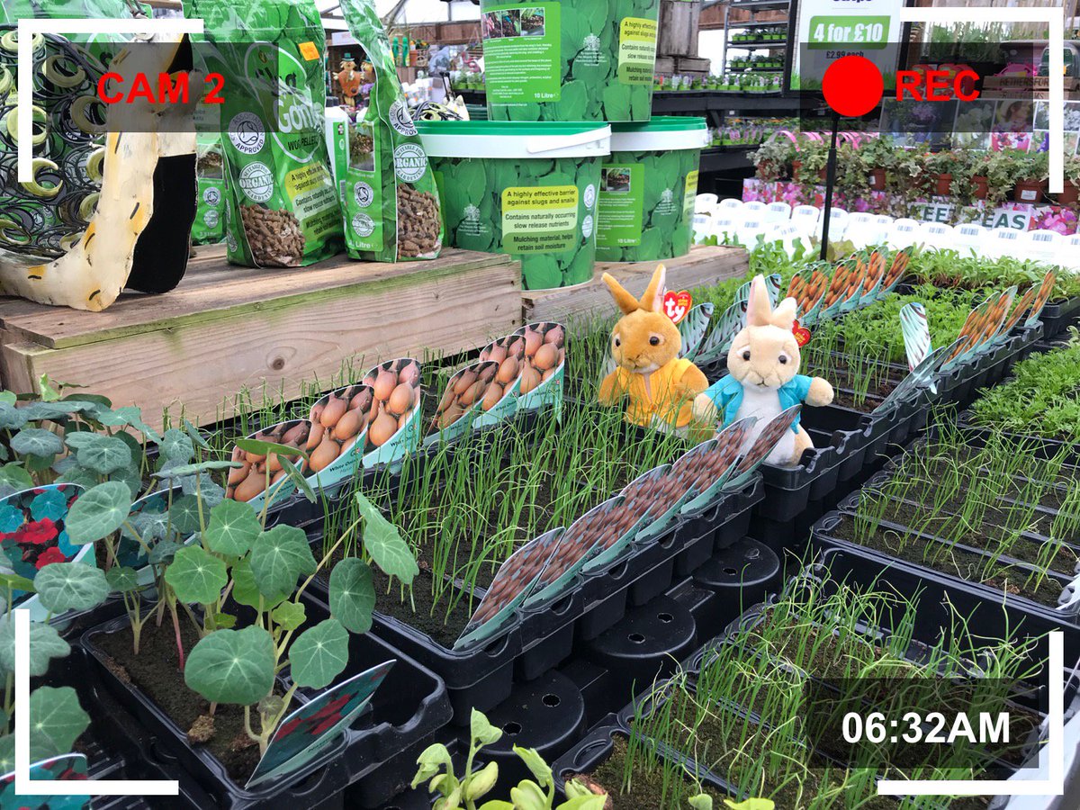 TenterdenGardenCentr tweet media