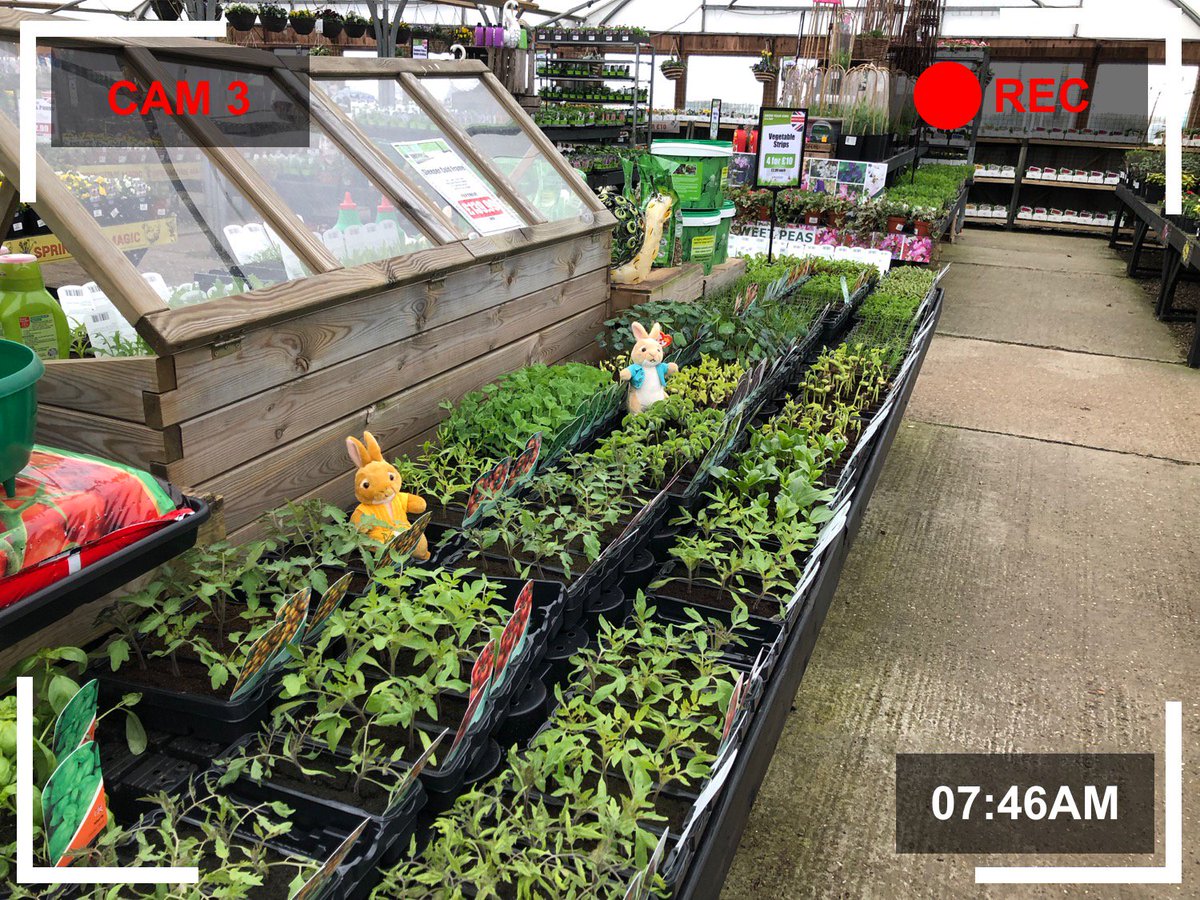 HAPPY EASTER WEEKEND! 
There’s trouble in the vegetable area! Our juicy, tasty, fresh vegetable plants seem to be disappearing very fast! We’re hopping mad! 
Let’s see what our security cameras have caught ... 🤔
