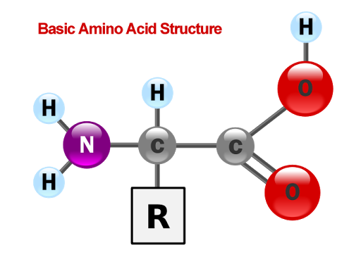 BloodDisorders's tweet photo. #Creation #Pathogenetic the Determined Compositions of #Amino Acids and their Derivatives for Practical Realization of the Regulating Effect of these #Substances
https://t.co/xCSLZT2epJ https://t.co/AAmaQgXXri