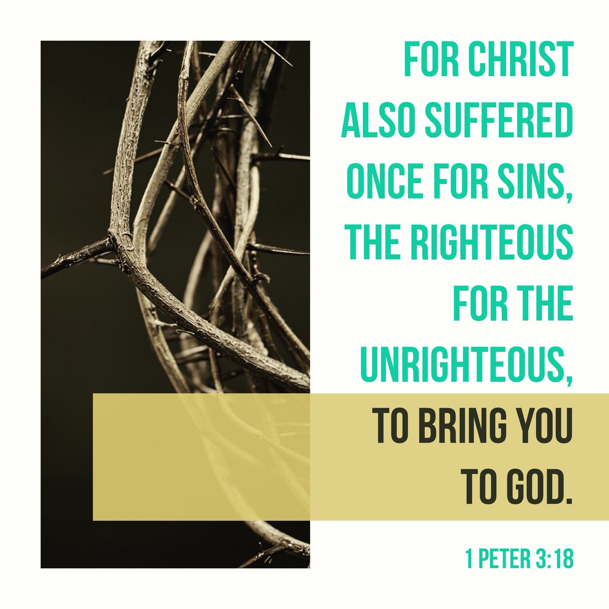 kcdstudents's tweet photo. Good Friday. https://t.co/ckSwgpMSoX