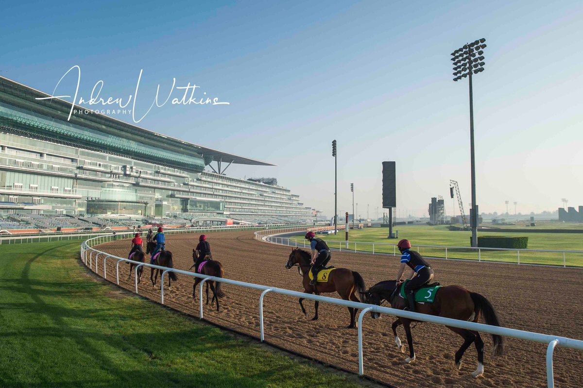 Aiden O Briens string on the Meydan dirt this morning <a href="/coolmorestud/">Coolmore</a> @nicolasmith550