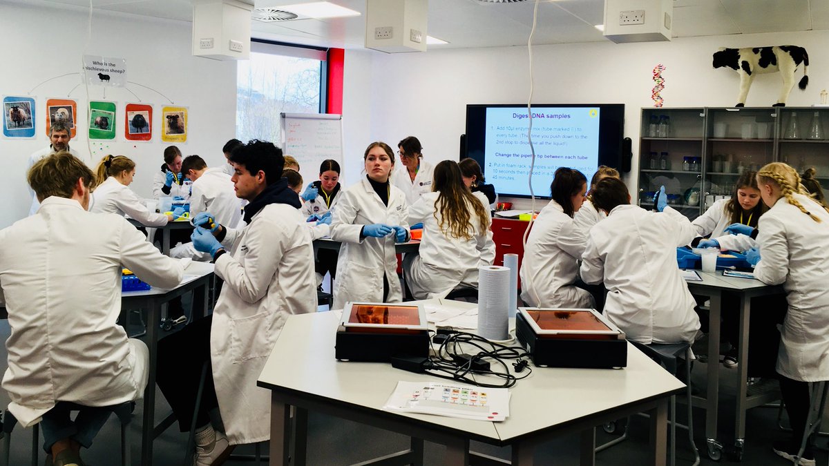 We are open for bookings for 2018/2019. Check out our full-day Primary and Secondary workshops ebsoc.ed.ac.uk #HandsOnScience #RealLifeScience