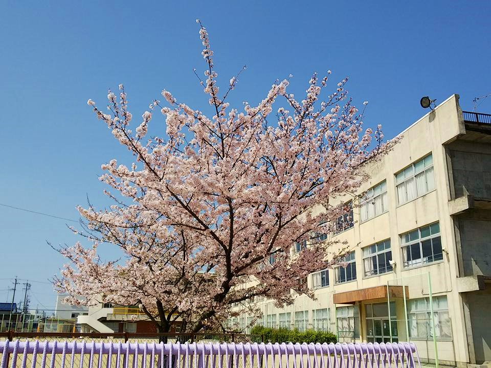 花田小学校 Twitter Search Twitter