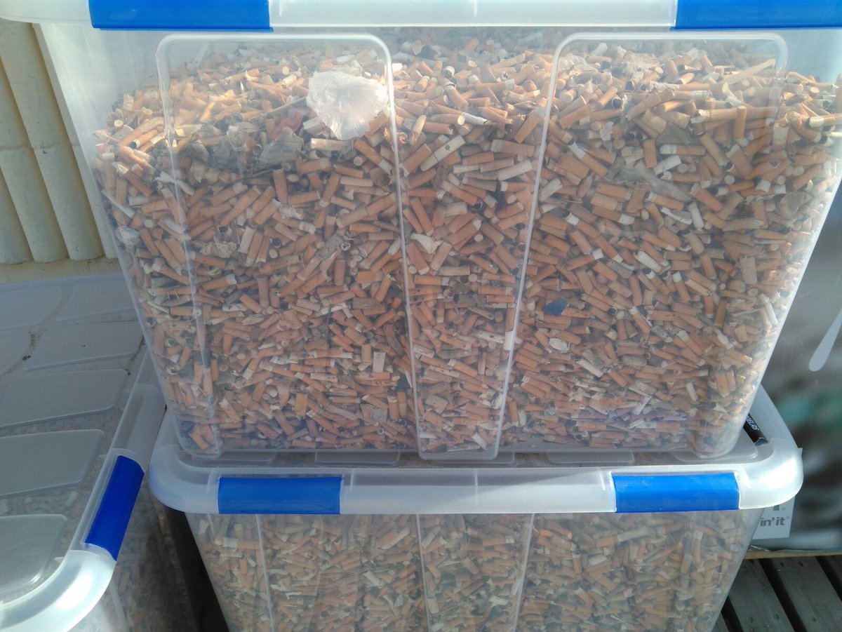 tiempo en santa pola