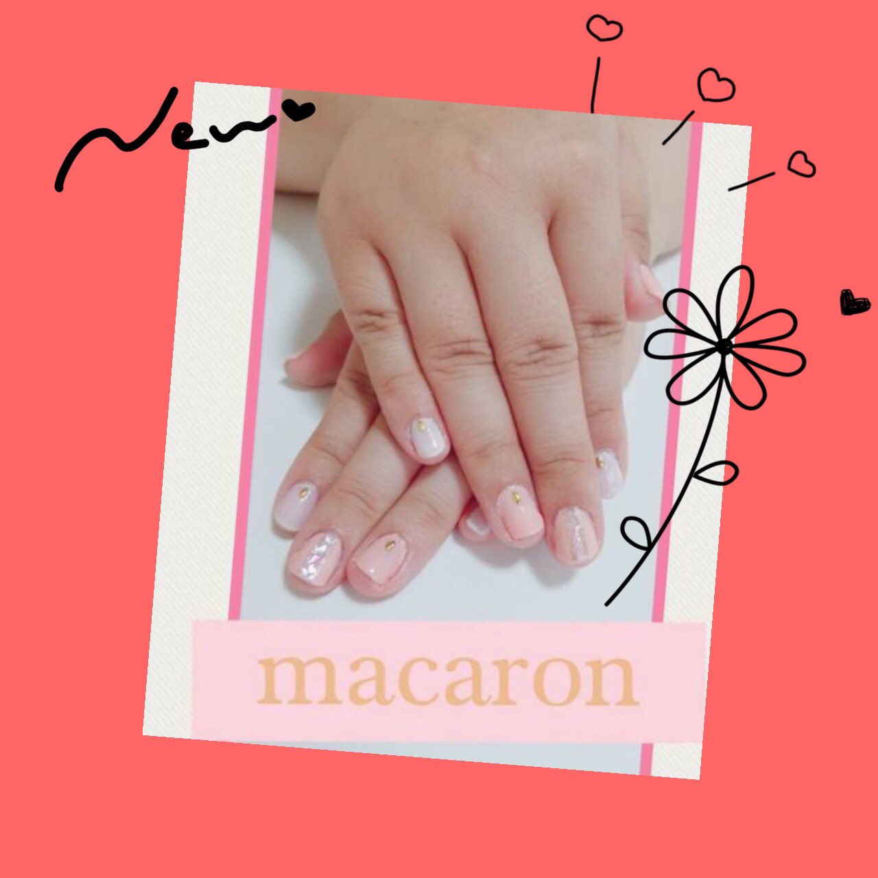 Macaron Macaron1801 Twitter