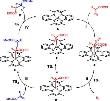 Our paper about 'Mechanistic investigations into the cyclopropanation of electron deficient alkenes with ethyl diazoacetate using [Co(MeTAA)]' is now online in Journal of Catalysis:

authors.elsevier.com/sd/article/S00…

Well done Andrei and Marie!