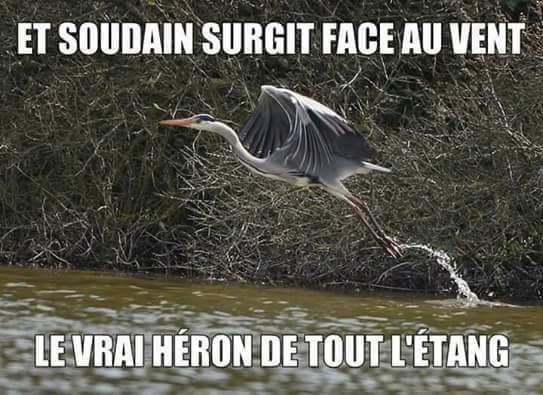 VerticalRadioCH's tweet photo. Un bon vendredi, à l'écoute de #Verticalradio. 
Du rock, du rock, rien que du #rock et pas de pubs!
RDV sur internet en DAB! 
On passe aussi #Indochine https://t.co/4ZX78Cm7sQ