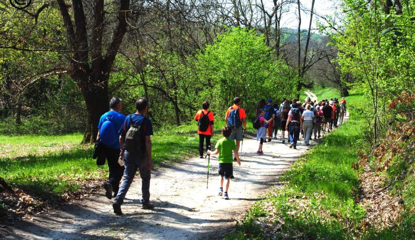 njroncea's tweet photo. BAROLO: ESCURSIONE DI PASQUETTA
Escursione ad anello di 13 km da Barolo a Monforte passando dalle frazioni Bussia e Perno. 
Sosta pranzo a Monforte dove si potrà partecipare alla merendina nella Saracca.

Scopri l'evento➡ https://t.co/68lv5P2VFf https://t.co/CkCARMmX7g