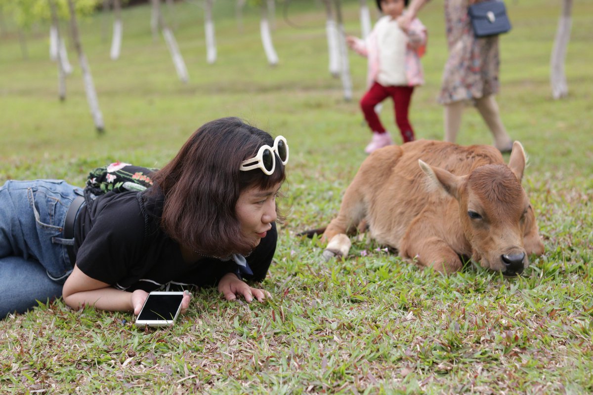 Vicky199571's tweet photo. Animals and nature，Aslo have a beautiful girl right?🤣 https://t.co/N7U8JItDvI