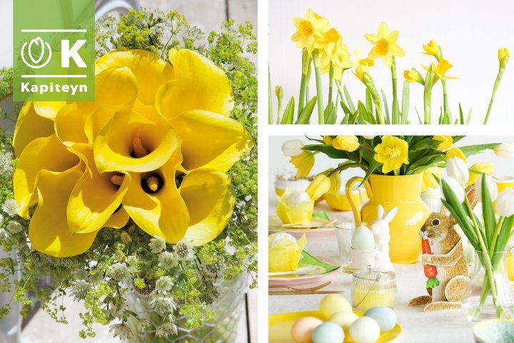 Happy Easter! #easter #captaincalla