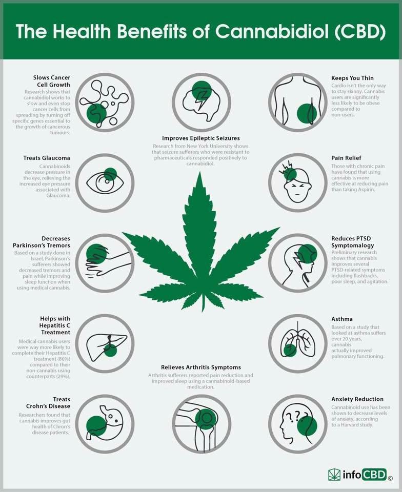 WeedWipes's tweet photo. 🔥💥 Benefits of #Cannabidiol 🔥💥

#WeedWipes #ResinRemover #Marijuana #Weed #PipeCleaning #BongCleaning #Denver #Cannabis #WeedFacts #CannabisCommunity #MarijuanaQuote #MedicalCannabis #WeedHumor #WeedFun #MarijuanaNews #WhatsTrending #WeedPorn https://t.co/GPhrRzTeK7