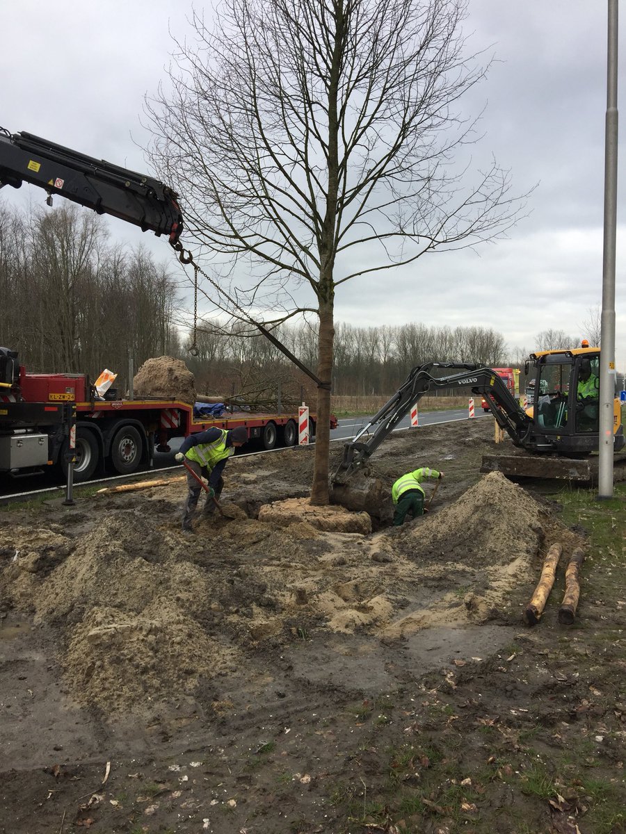 FlevoWegen's tweet photo. #Waterlandseweg Bomen planten #Berdi #Flevoland @FlevoWegen https://t.co/lI1cXWnH1O