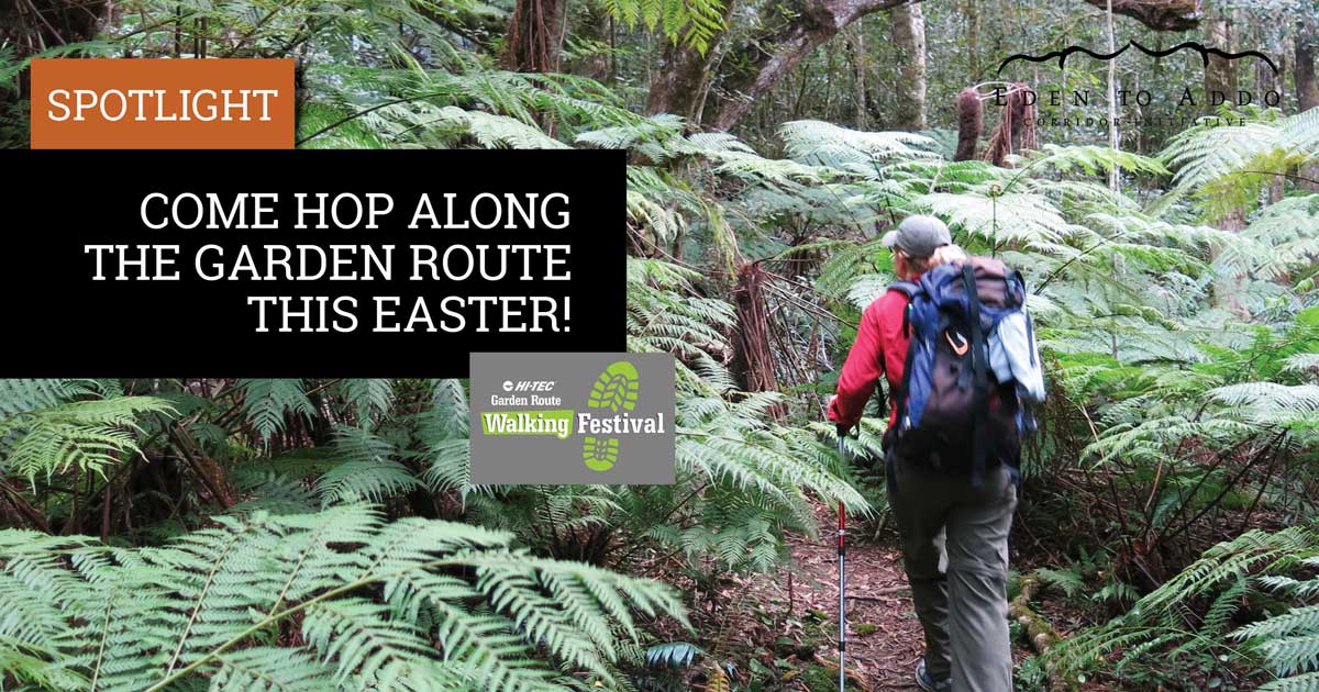 EdenToAddo's tweet photo. Spend your Easter weekend hiking through beautiful trails and be a part of the Walking Festival! #WalkingAndHiking #EasterWeekend #WalkingFestival #FestivitiesInNature

https://t.co/8nDuVmTAMj https://t.co/dfk9YlrQ9b