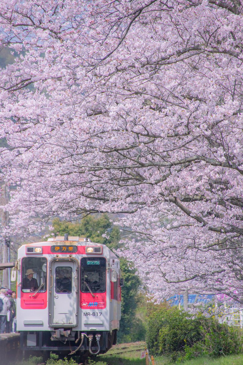 あき 松浦鉄道 浦ノ崎駅 佐賀県 佐賀 伊万里 浦ノ崎駅 松浦鉄道 Tcc桜ツイート さくら Photography