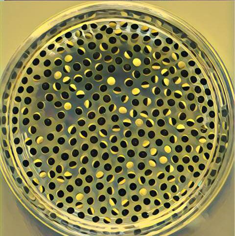 "Easter eggs @Gurd…" - @GurdonInstitute, Gurdon Institute ... - 480 x 482 jpeg 76kB