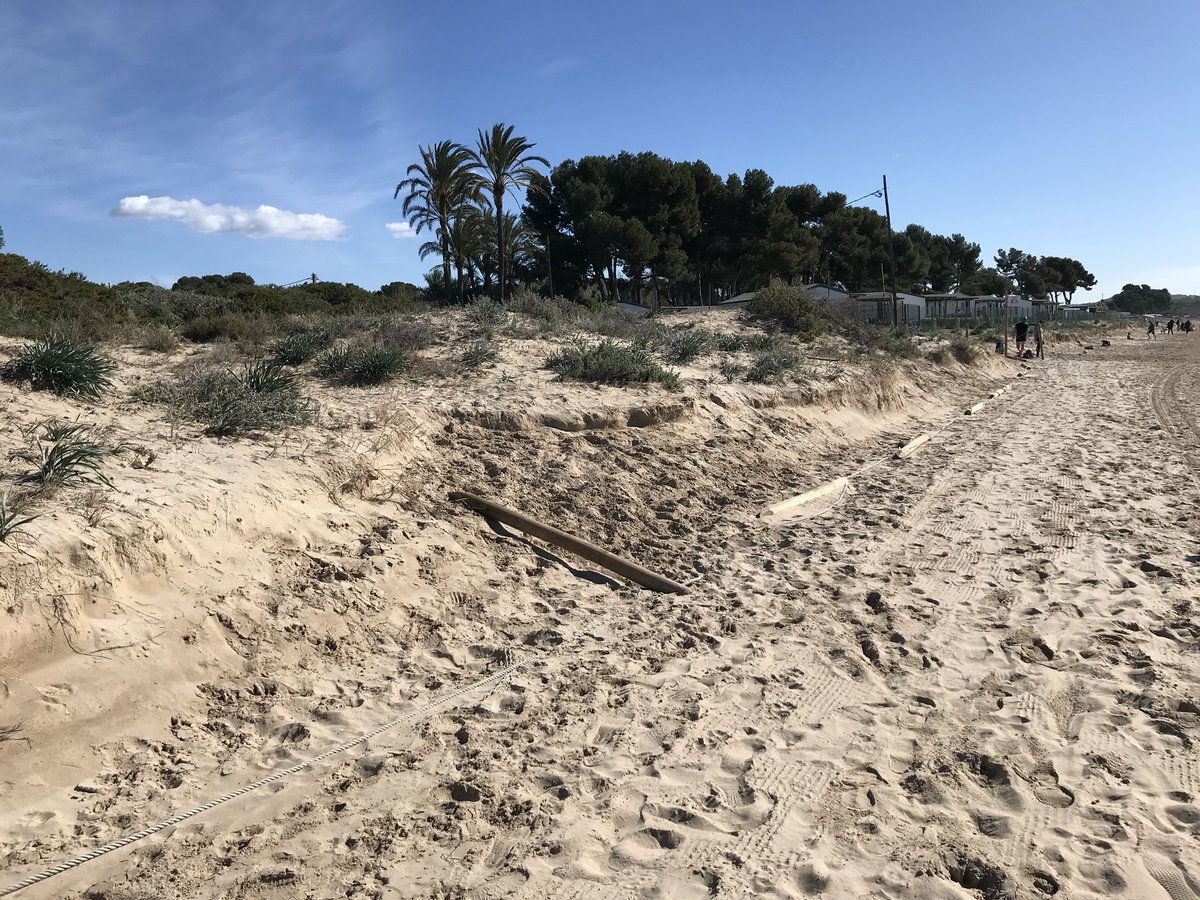Amics de l’<a href="/TGNAjuntament/">Ajuntament de Tarragona</a> si us plau, arregleu això el més aviat possible. Gràcies! (Platja llarga zona Càmping Les Palmeres-Les Salines).