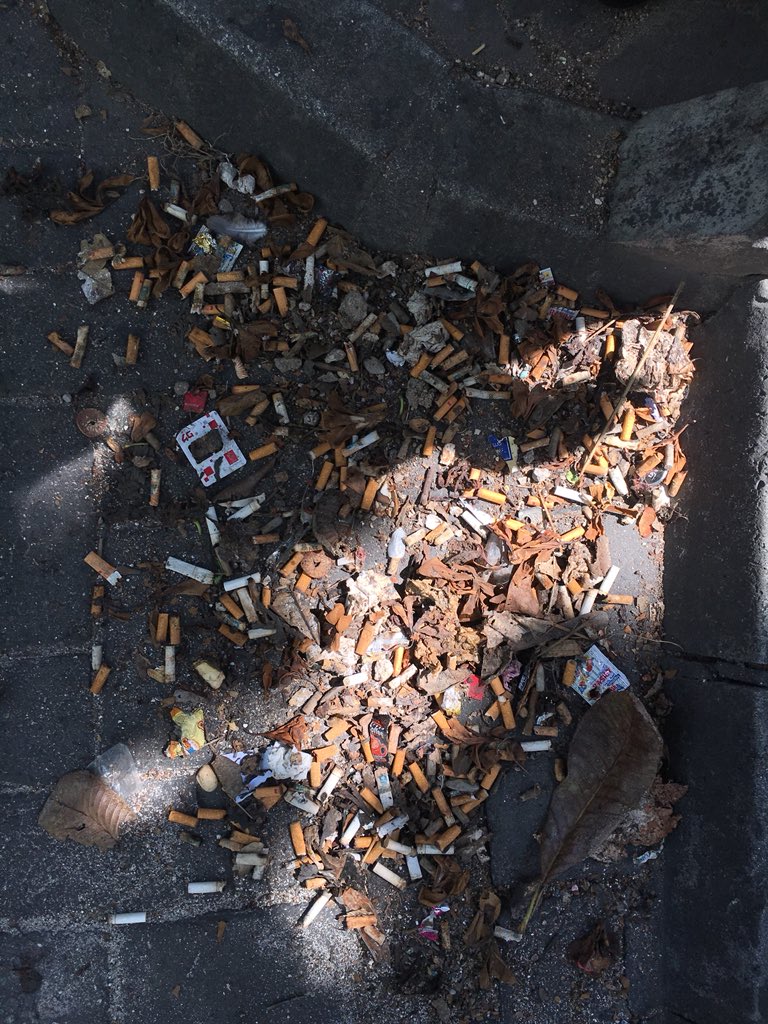 faththu's tweet photo. Last week I noticed less rubbish than the prev time - since its school holidays I assume its gotten less. So today we moved to Iskandhar School park n found that the tree is actually an ashtray. One pic is of all the cig butts collected from around the tree. #MaleStreetCleanUp https://t.co/1Ujew0BUs1