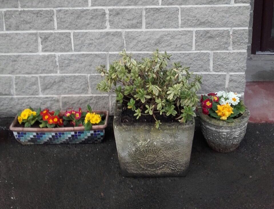 StAndrewsSomFT's tweet photo. Easter themed activities this week @StAndrewsSomPar. Easter service with the chaplain, baking Easter chocolate and mini egg crispy cakes, and planting spring flowers (primroses) in pots outside the main entrance 🌸🌼 #easter2018 #springis(hopefully)here https://t.co/9NGAp1rg3v