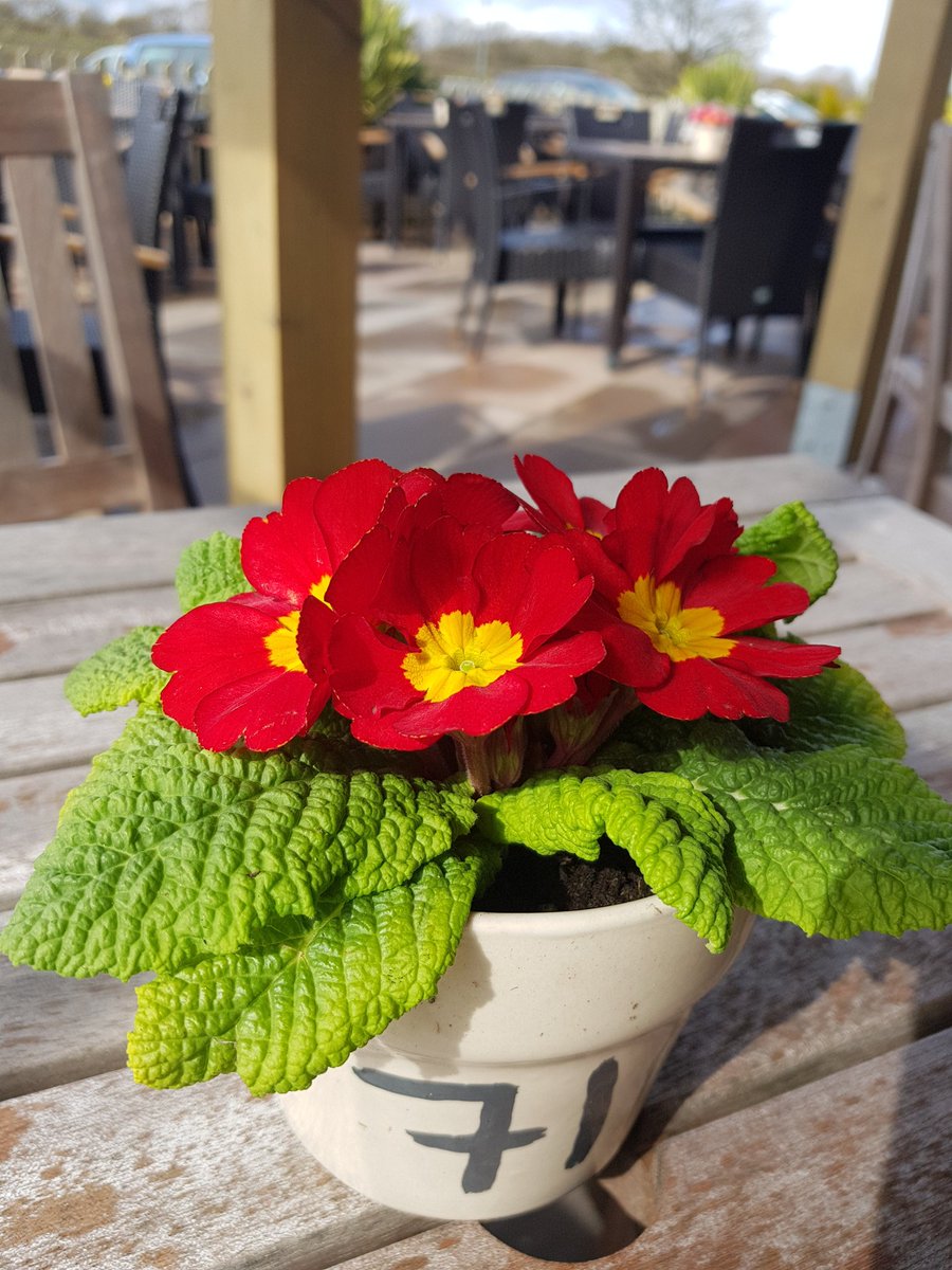 HornsmillHelsby's tweet photo. Thanks to Jeff and his team for making sure our outside area is ready for the #BankHolidayWeekend All we need is the weather to change #hoping #Spring #somesunplease #alfresco #EasterBreak #Cheshire https://t.co/yPmiWiaoRY