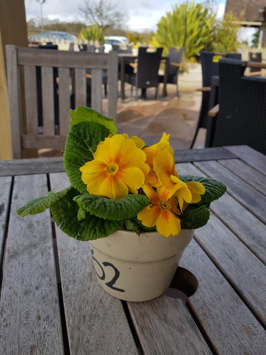 HornsmillHelsby's tweet photo. Thanks to Jeff and his team for making sure our outside area is ready for the #BankHolidayWeekend All we need is the weather to change #hoping #Spring #somesunplease #alfresco #EasterBreak #Cheshire https://t.co/yPmiWiaoRY