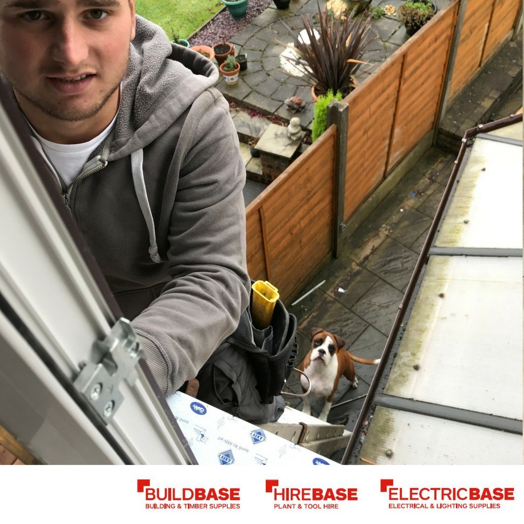 He doesn't seem too keen, but who wishes they had a workmate like this? #helpfulpaw #mansbestfriend