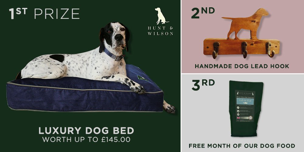 huntandwilson's tweet image. Get set for our Easter competition opening soon... enter using this link: gleam.io/oJM32/easter-c…
#EasterCompetitionHunt #LuxuryDogBed #HandmadeDogLeadHook #DogFood #EasterWeekend #GoodFriday #dogsoftwitter