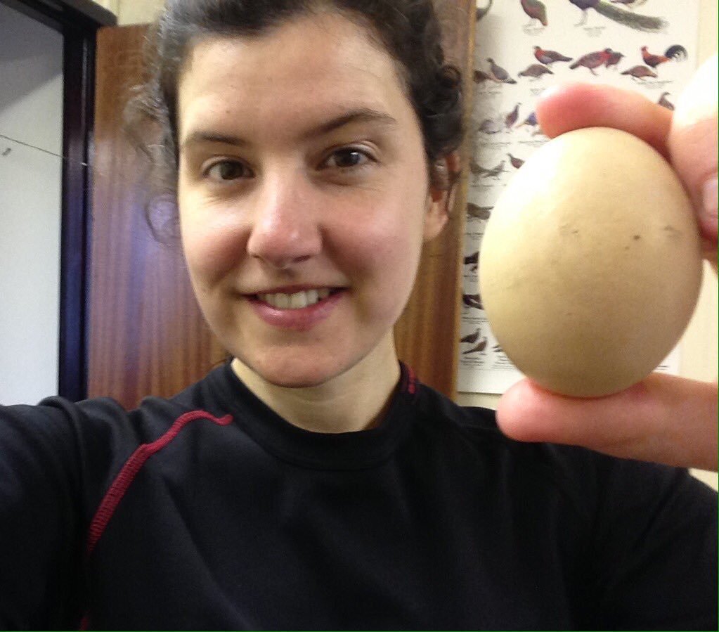 I'm a scientist who studies #eggs. &amp; since it's #Easter, I thought I'd share some top facts about bird eggs, which you can feel free to wow the family with this #BankHolidayWeekend 1/