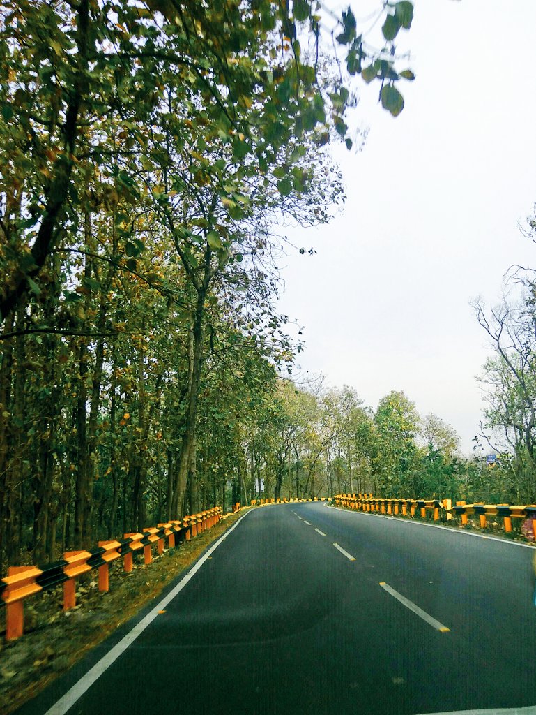 letsgosightsee's tweet image. When road trips are bae 😍

#goodfridayweekend #LongWeekendPlans #extendedweekend #RoadTrips #haldwani #kaladhungi #Uttarakhand #IncredibleIndia #goodroads #notraffic #Tree #colours #letsgosightseeing #happyfeet #lifeoftravel #coupleswhotravel #😍