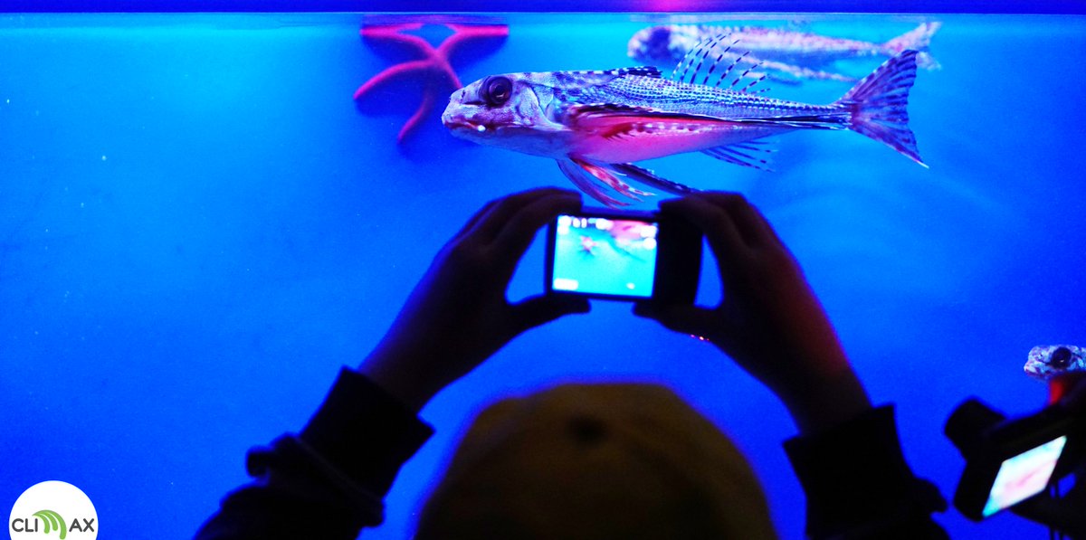 Visita all'acquario mediterraneo di Porto Santo Stefano, un'esperienza unica per i ragazzi. Campi scuola by #coopclimax
acquarioargentario.org