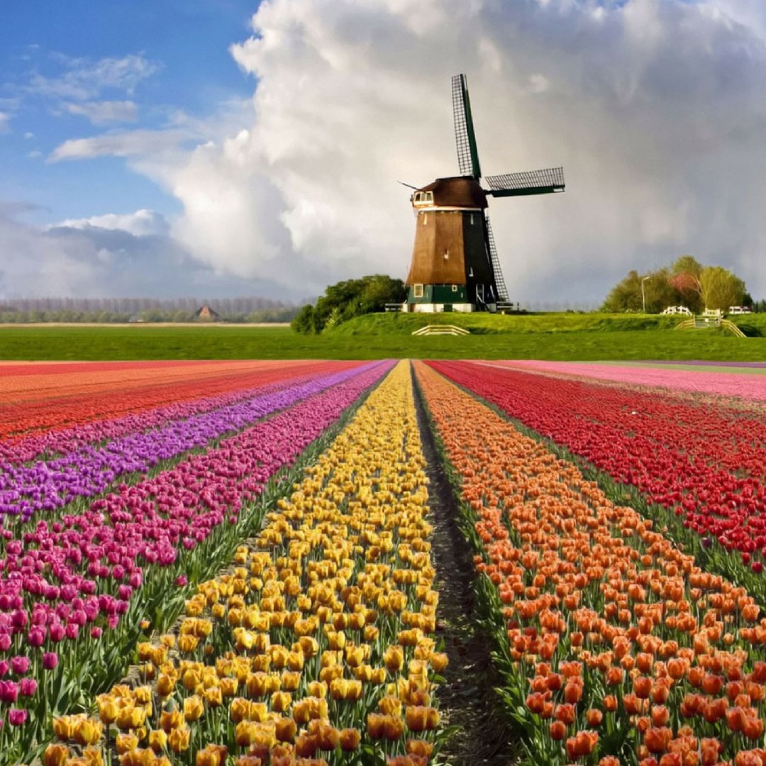 Dünyanın en büyük çiçek bahçesi sizi kendine hayran bırakacak 9 Nisan 4* MS Serenity ile Lale Zamanında Ren Nehri 7 gece 8 gün. ⭐ s.vip.com.tr/9426