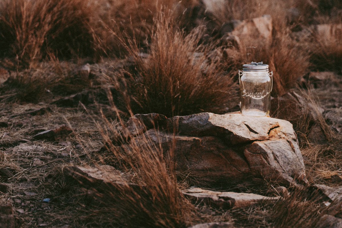 "As we let our own light shine, we unconsciously give other people permission to do the same." -Nelson Mandela ✨