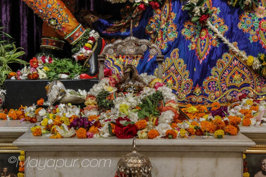 mayapurdarshan's tweet photo. Daily Darshan: March 28, 2018 https://t.co/RvrAa5HWbZ https://t.co/SBdlFmPikd