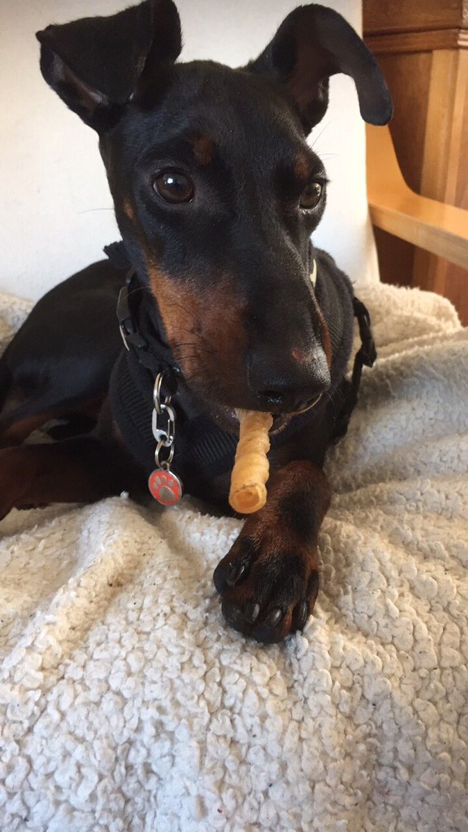 JohnnyFarwer's tweet photo. Lazy day...enjoying my time in this comfy chair nibbling a little treat. #LifeIsGood https://t.co/BzjIoyhg81
